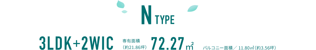 N TYPE